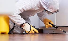 Best Pest Prevention Services  in Lexington, NE